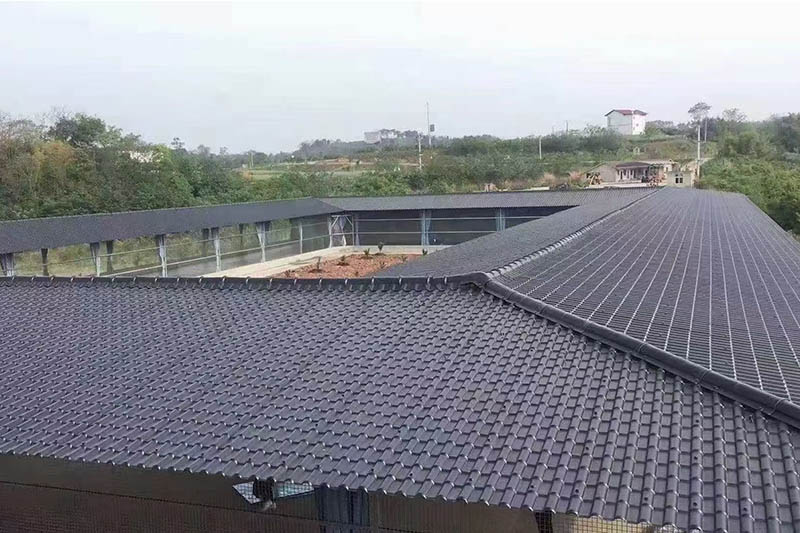 Proje Vakaları